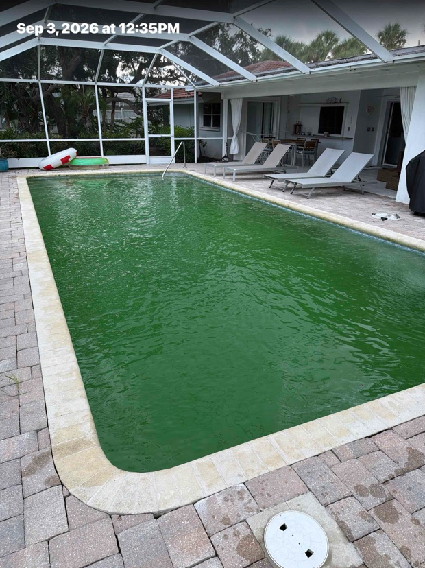 Before: backyard pool with cloudy green water